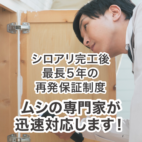 ムシの専門家が迅速対応します! ムシの専門家が迅速対応します!